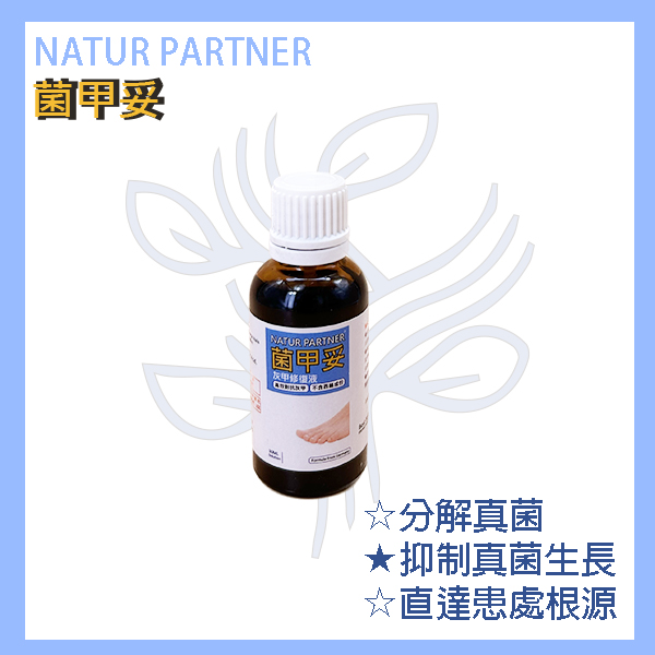 灰甲_R3_06.jpg